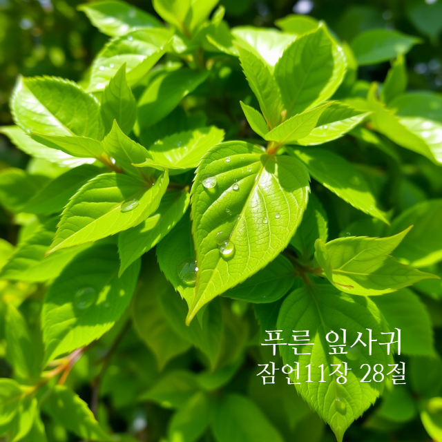  푸른 잎사귀 잠언11장 28절