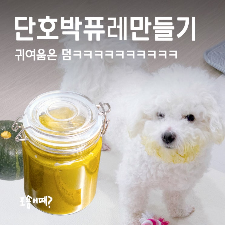  강아지 간식 레시피 단호박퓨레 만들기, 장점 주의점 위험성 총정리!