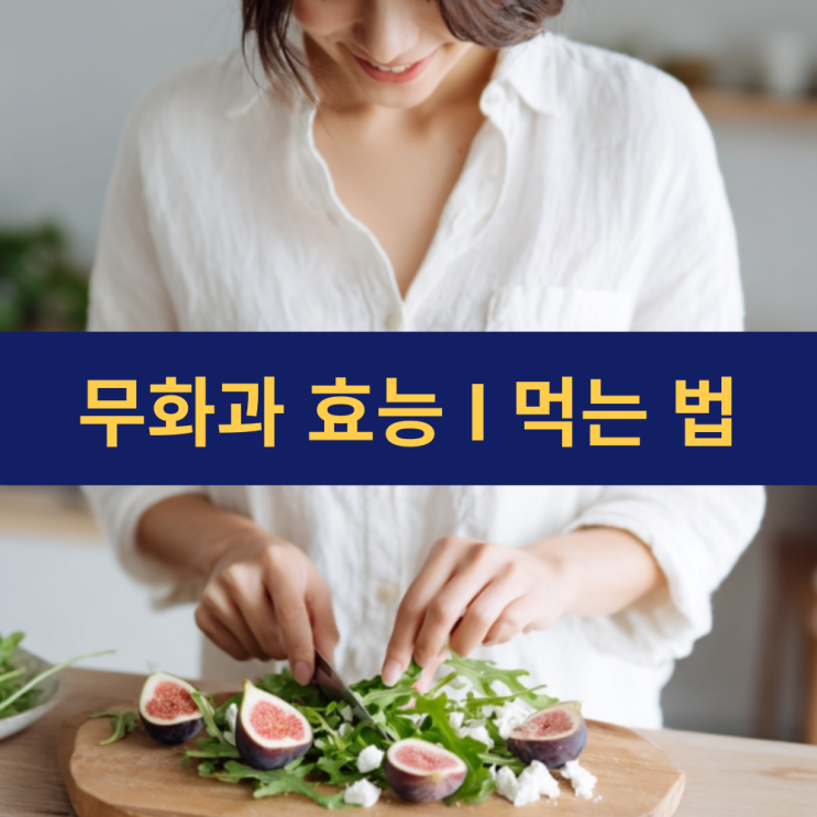  무화과효능 | 무화과 먹는 방법 | 무화과 보관 법 및 제철 시기 칼로리 말린 무화과와 효능 차이