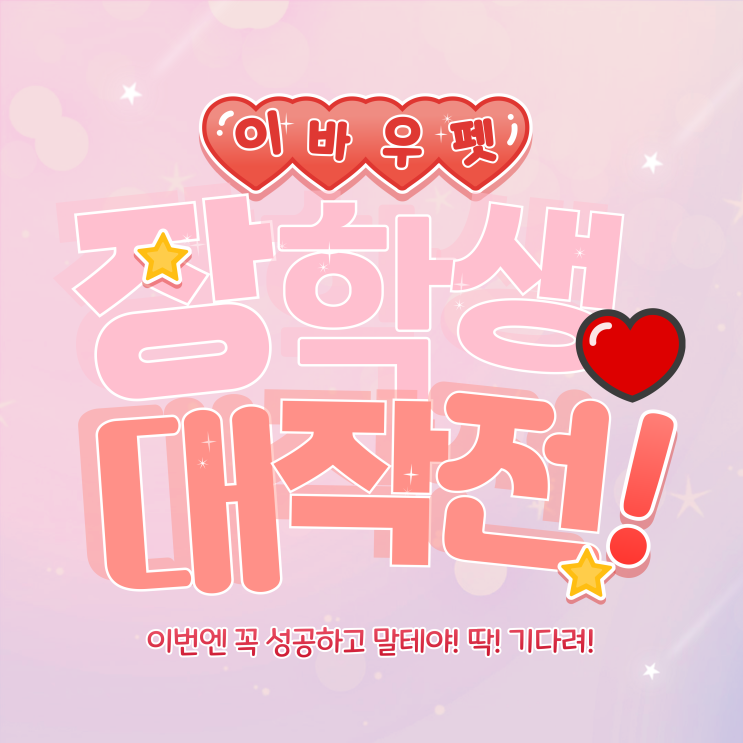  100% 가정견 실습이 가능한 광주애견미용학원