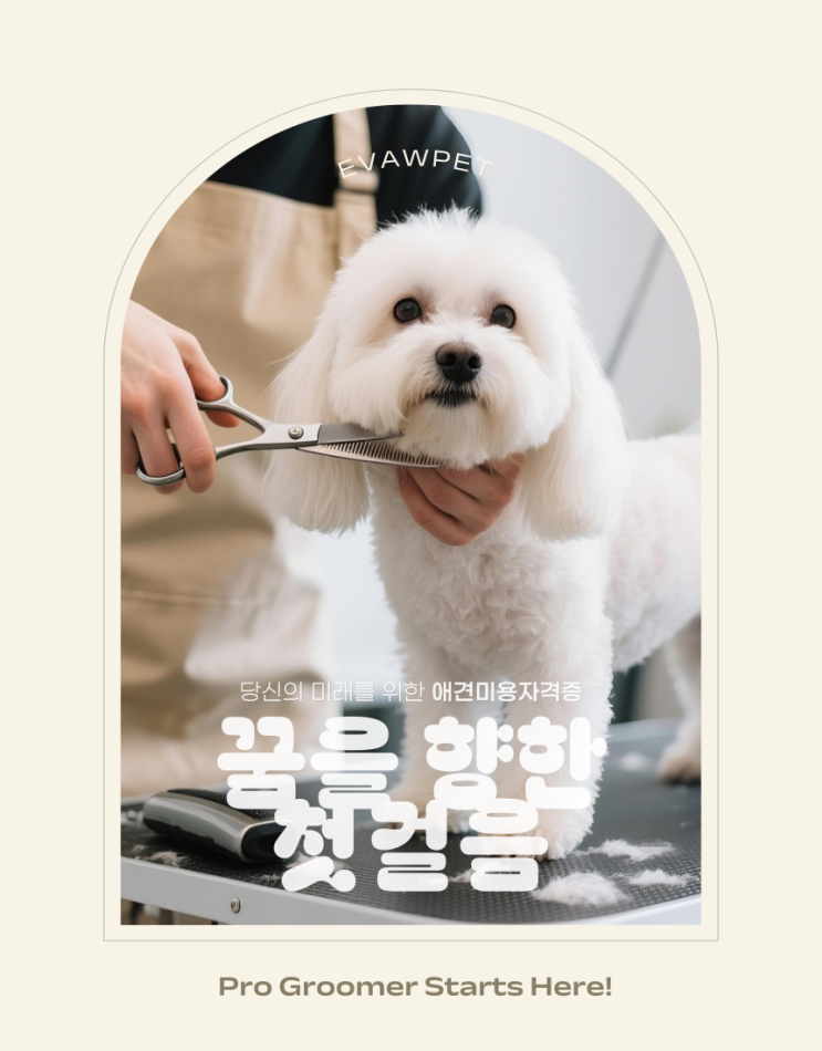  광주애견미용창업 , 워라벨도 잡는 나만의 성공 공식!