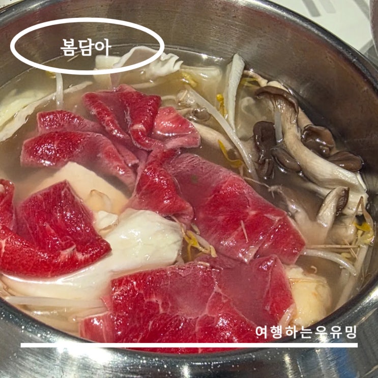  봄담아 샤브샤브 무한리필, 아이들과 함께한 저녁외식 방배맛집
