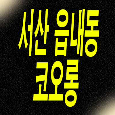  서산 코오롱 레이크 할인분양 오피스텔 읍내동 선임대 원룸 즉시입주