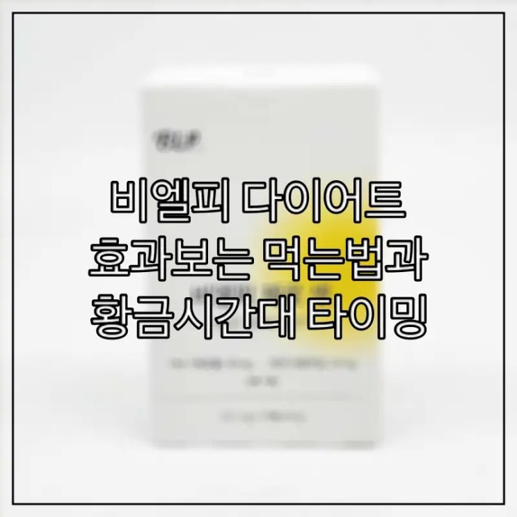  비엘피 다이어트 효과보는 먹는법과 황금시간대 타이밍