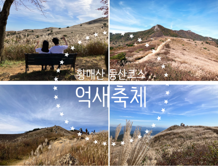  황매산 등산코스 (황매산 억세축제)