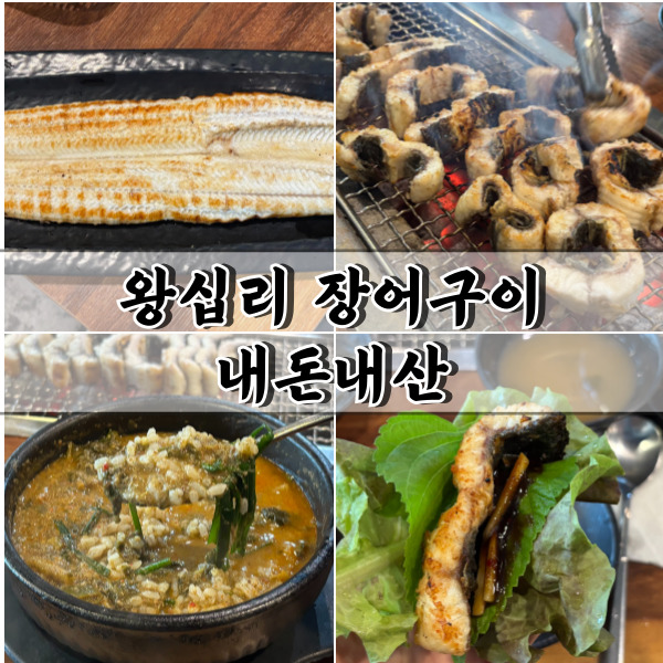 왕십리 장어구이 힘찬풍천장어 여름철 몸보신 고민 끝낼 맛집