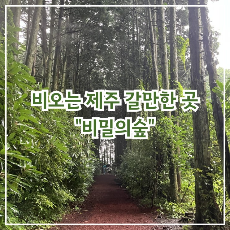  비 오는 제주 갈만한 곳, 비밀의숲