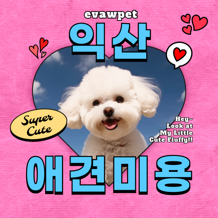  익산애견미용학원 , 광주까지 달려간 이유!