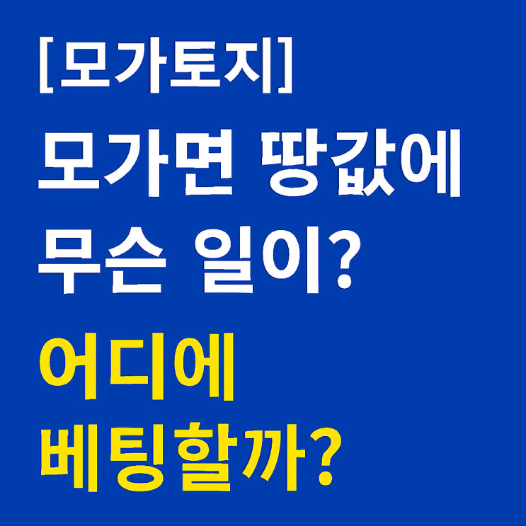  [모가토지]모가면 땅값에 무슨 일이?어디에 베팅할까?