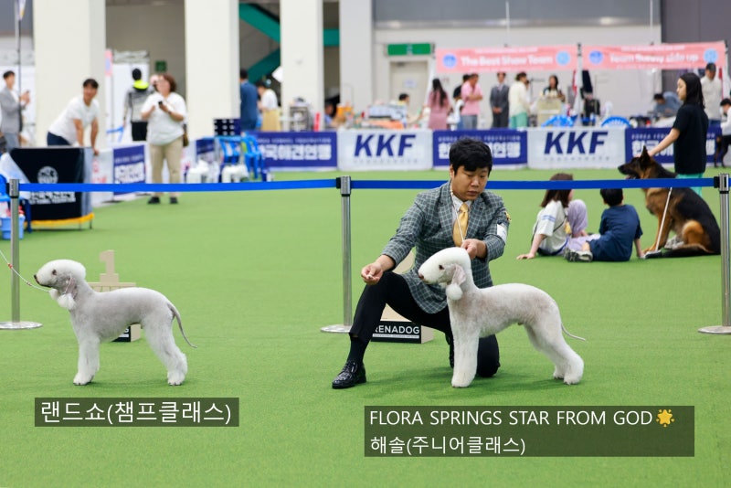 사진 5
