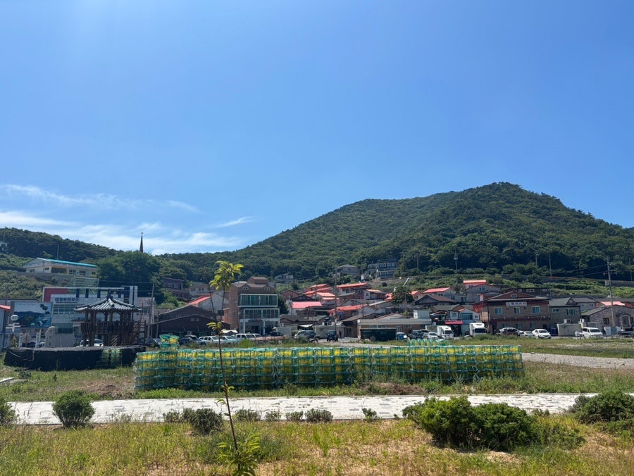 섬식당 사진 6