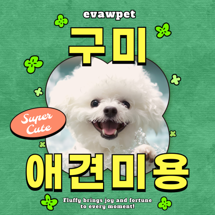  구미애견미용학원 추천! 대구 이바우펫에서 배우는 이유 5가지