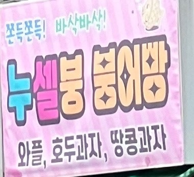 누셀붕 사진 5