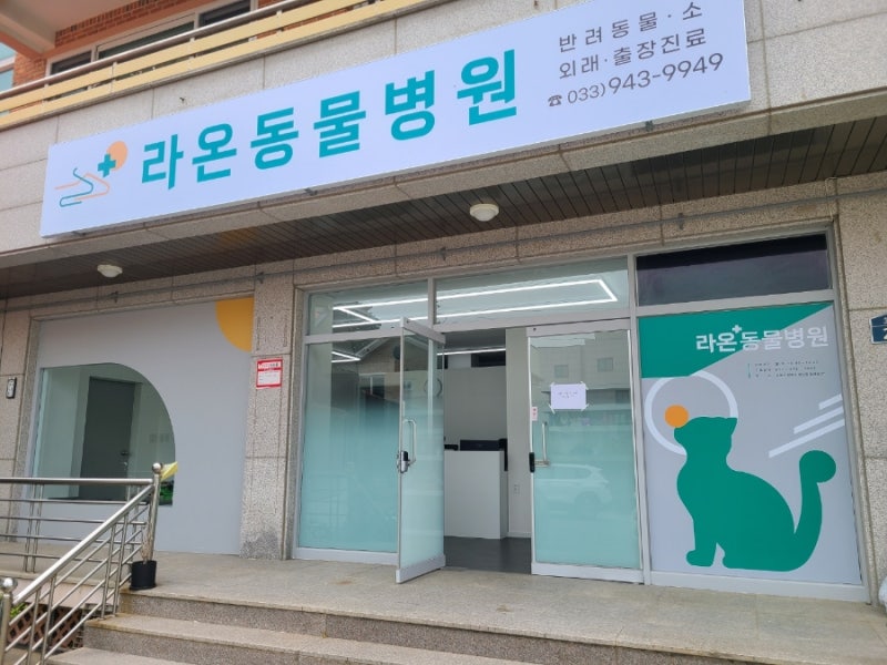 강원도 양양의 라온동물병원.