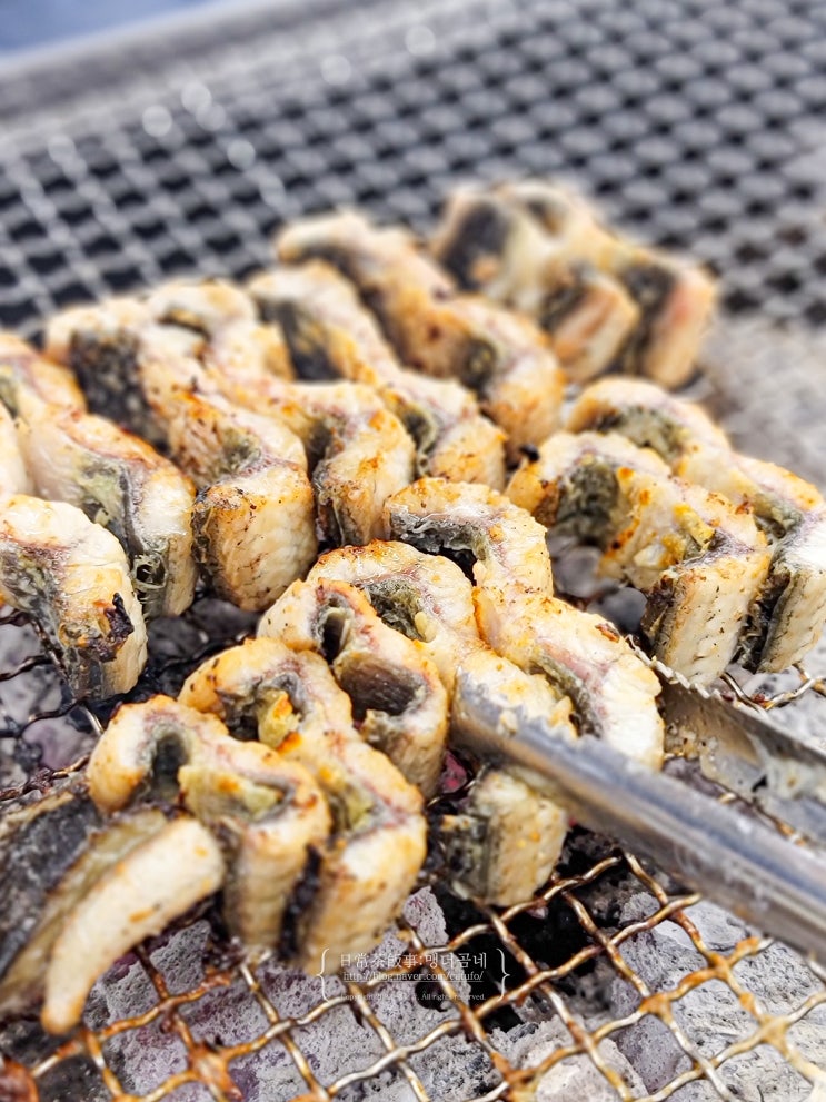  광주 장어 맛집 더큰장어 북구 양산동 좋은 장어를 저렴하게