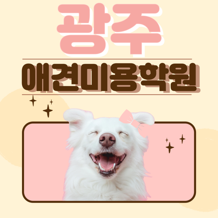  광주애견미용학원, 반려견 전문가로 성장하는 최적의 출발점