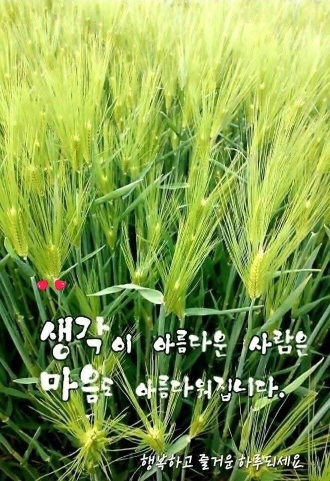 빵구 사진 1