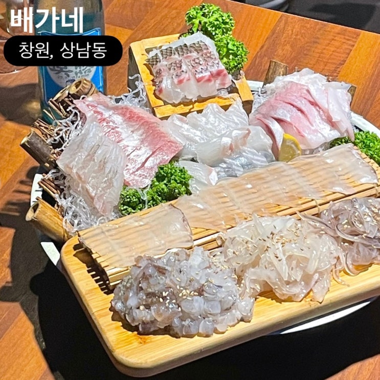 창원 상남동 술집 배가네 산오징어회 맛집