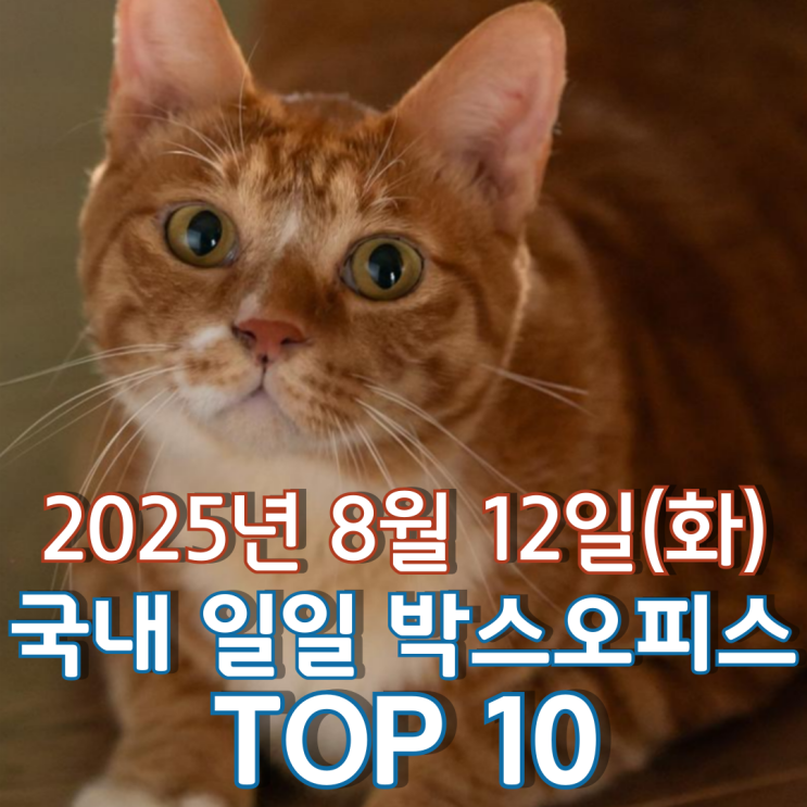  [국내 박스오피스] 일일 TOP 10 - 2025년 8월 12일(화)