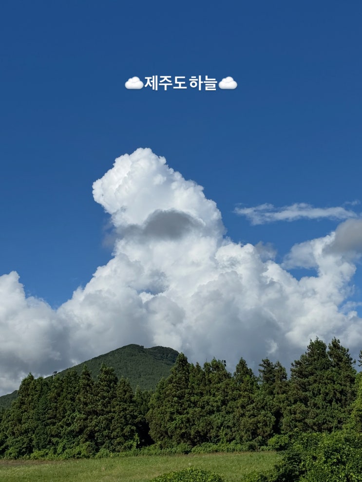   제주에서 날아온 따뜻한 마음