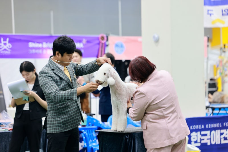 사진 6