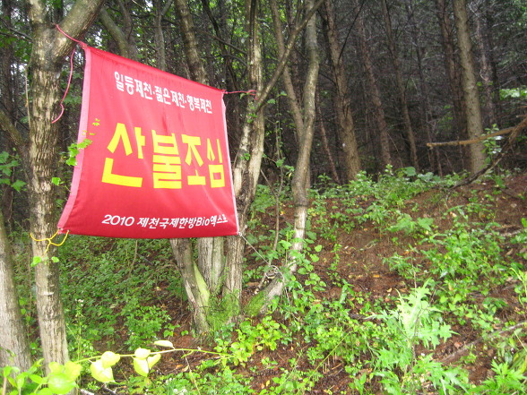 천삼산 사진 4