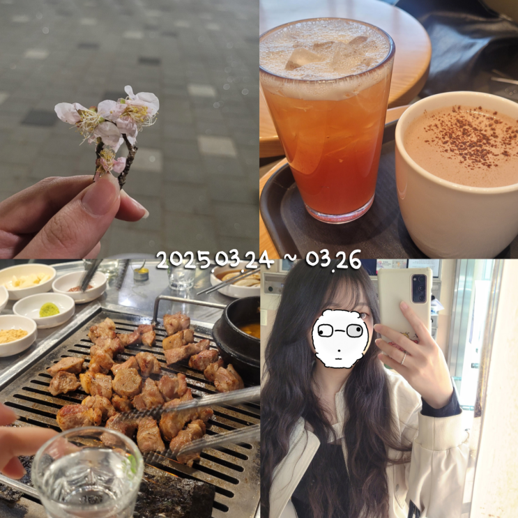  3월일상 7 :: 올해 본 영화 중 최고.