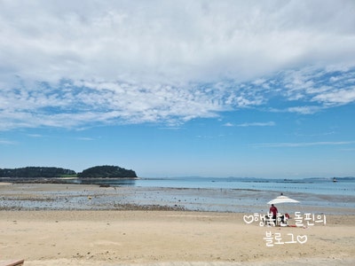 사진 6