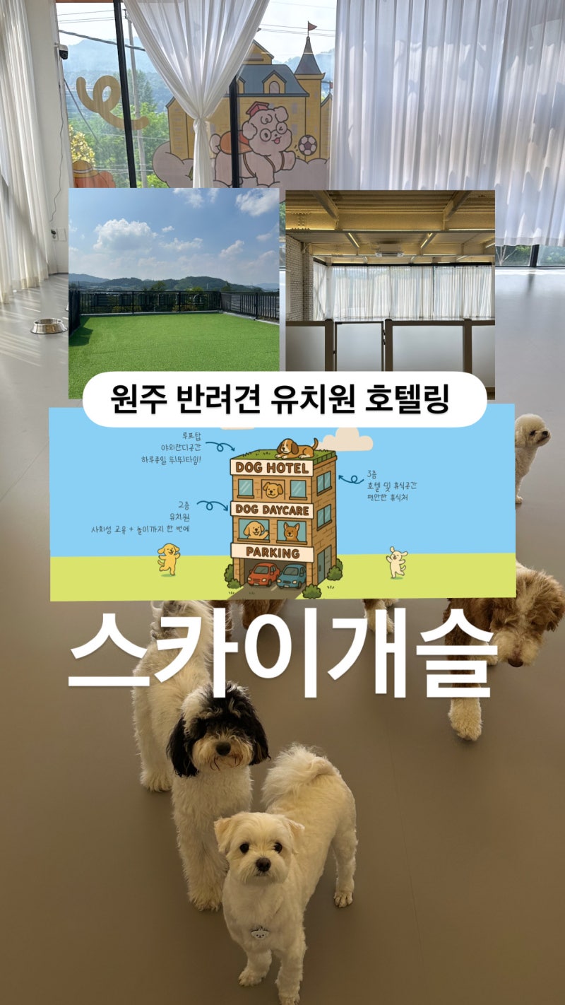 사진 3