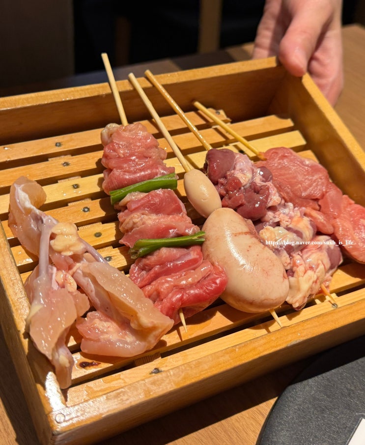  후쿠오카 하카타 야키토리 현지인 맛집 특수부위 생맥주 토리토리 켄큐단 鳥鶏研究団