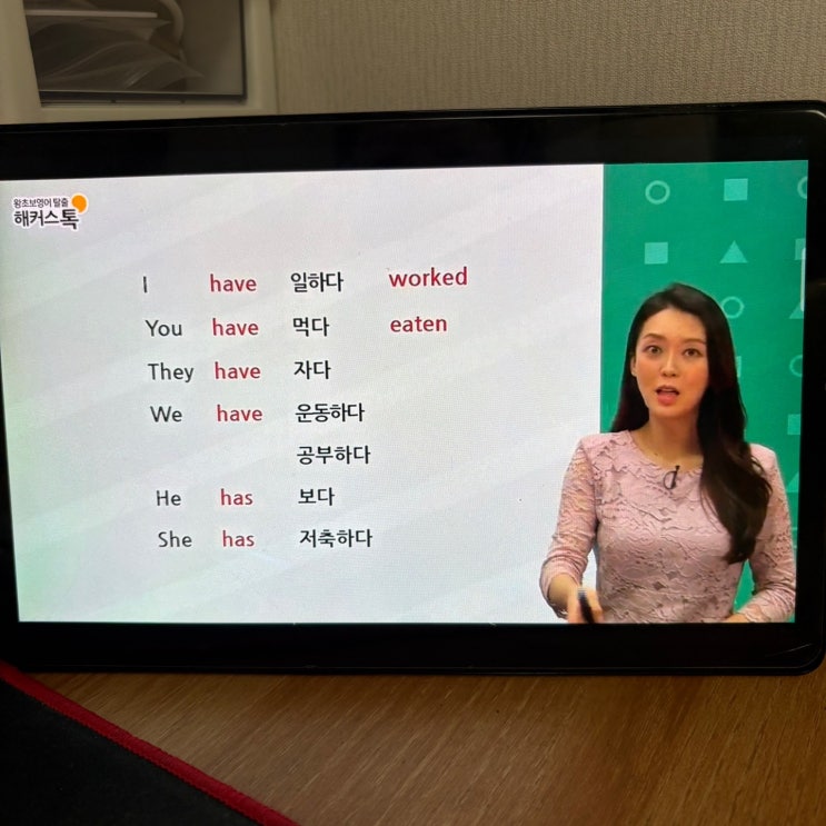  성인 영어회화 독학 기초부터 실전까지 혼자 끝낸 비결
