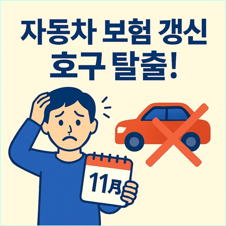  자동차 보험 갱신, 11월에 하면 '호구'됩니다: 다이렉트 보험사 TOP 3 비교