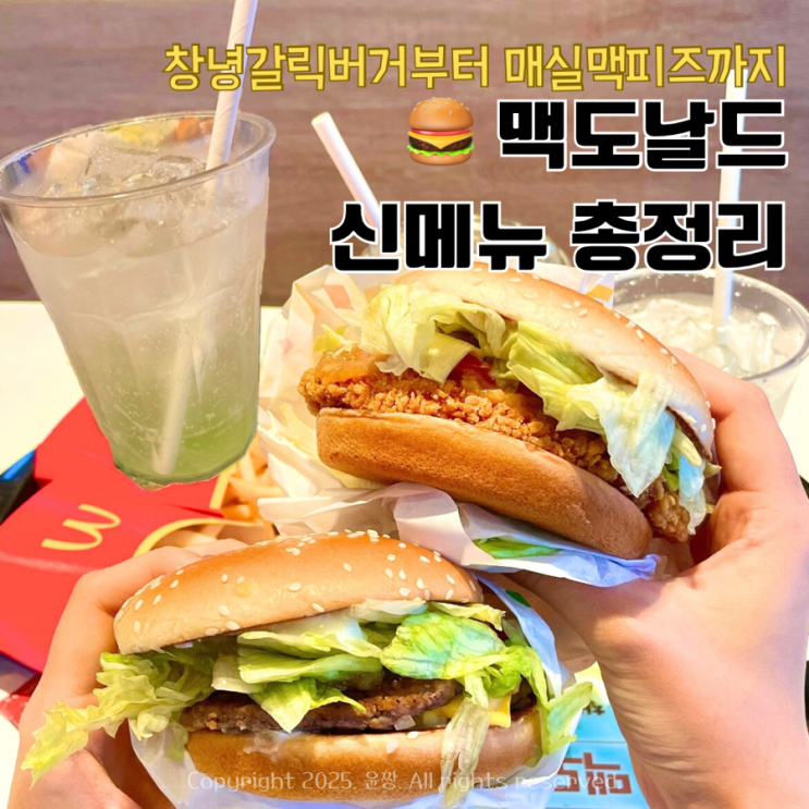  맥도날드 신상 신메뉴 추천 창녕갈릭버거(비프/치킨), 매실맥피즈 솔직 후기