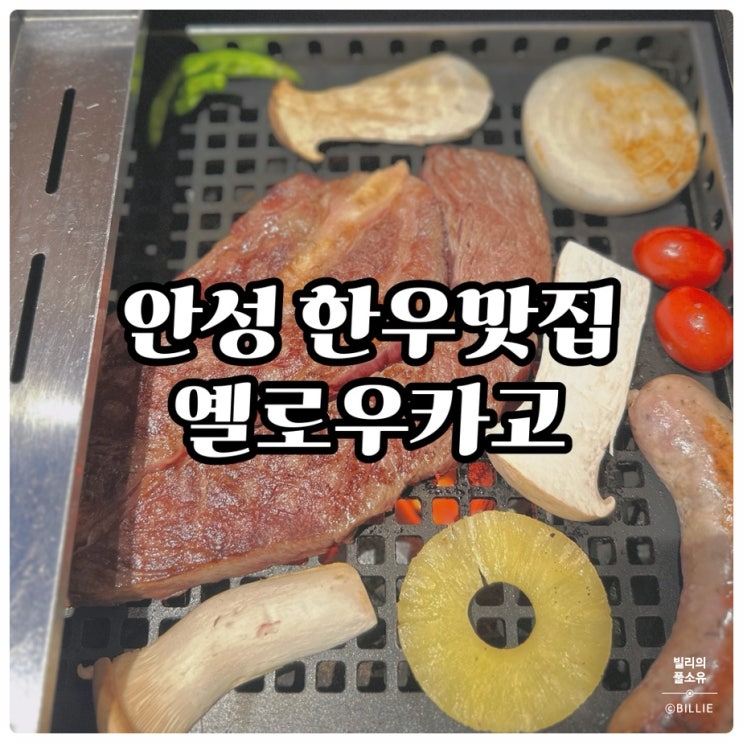  안성 옐로우카고, 한우 1++ 전문점 후기 (할인정보/가격/추천메뉴)