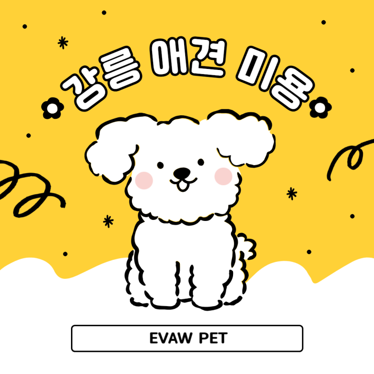  진짜 월 500? 강릉애견미용학원 에서 밝히는 성공의 지름길!
