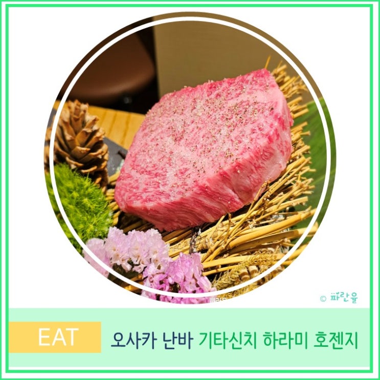  오사카 난바 야키니쿠 코스요리 가성비 맛집 기타신치 하라미 호젠지