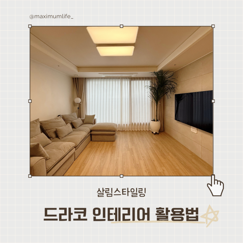 드라코 키우기 인테리어 활용법 공기정화 풍수 관리 팁