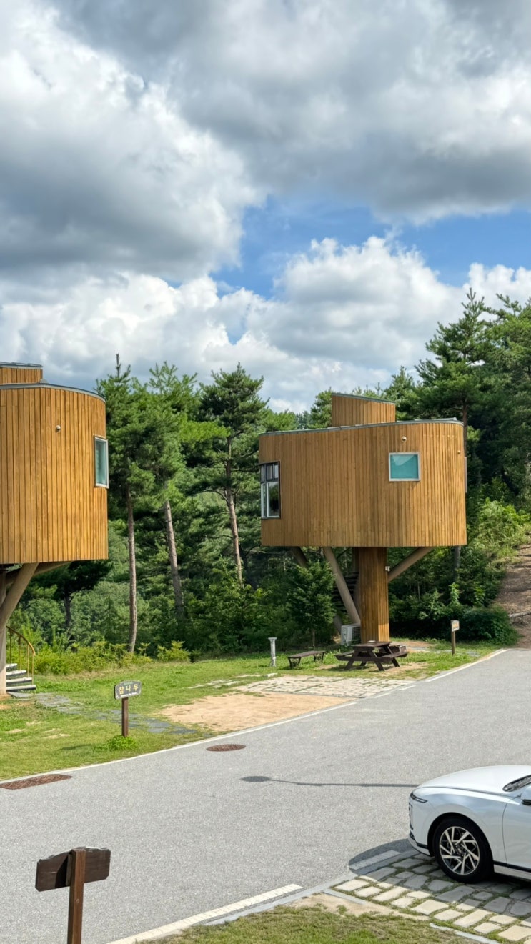  [무주 여행] 무주 향로산 자연휴양림 더운날 아기랑 가볼만한 곳 추천