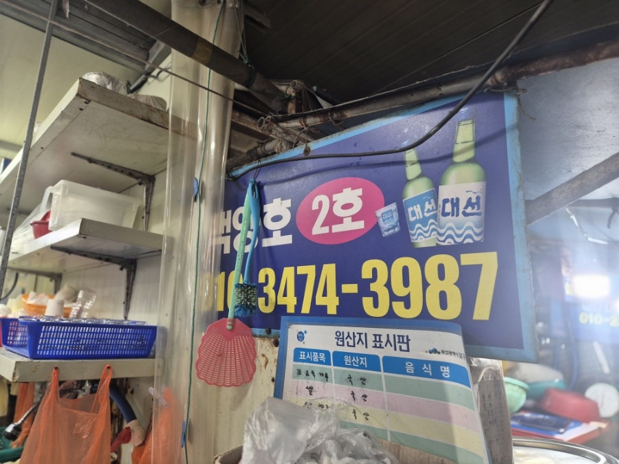 백양호 사진 2