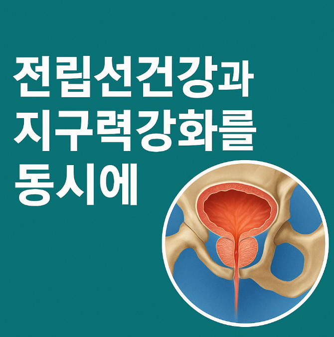  쏘팔메토와 코사놀, 전립선건강과 지구력강화를 동시에