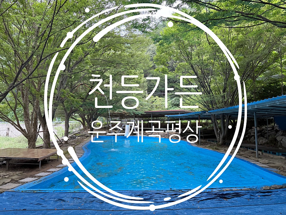 천등가든 사진 2