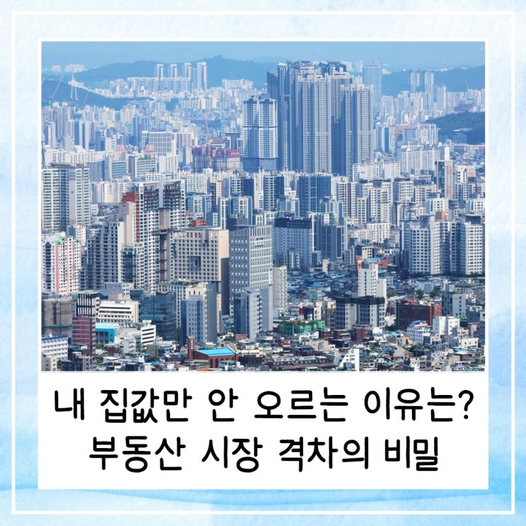  내 집값만 안 오르는 이유는? | 부동산 시장 격차의 비밀