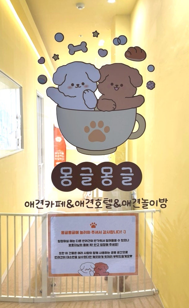 사진 5