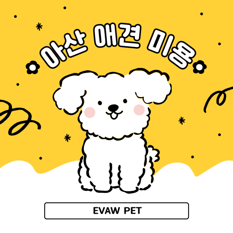 털털한 이야기: 아산애견미용학원 의 비밀