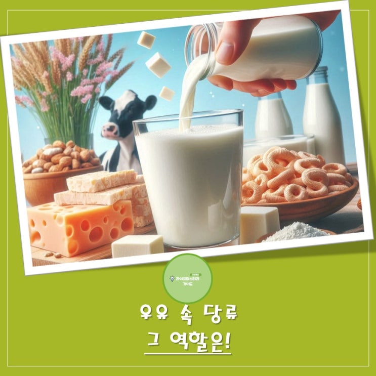  우유 속 당류 10g의 비밀: "유당"이 우리 몸에 주는 역할은? | #락토프리, #유당불내증