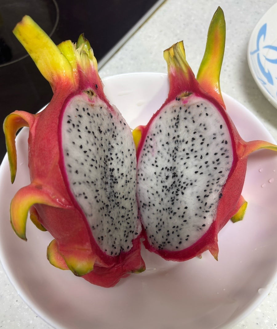 섬식당 사진 4