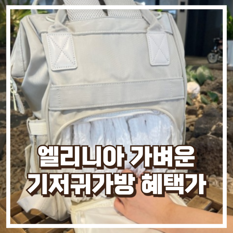  엘리니아 국민 기저귀 백팩 가볍고 넉넉한 수납이 돋보이는 리뷰, 혜택가