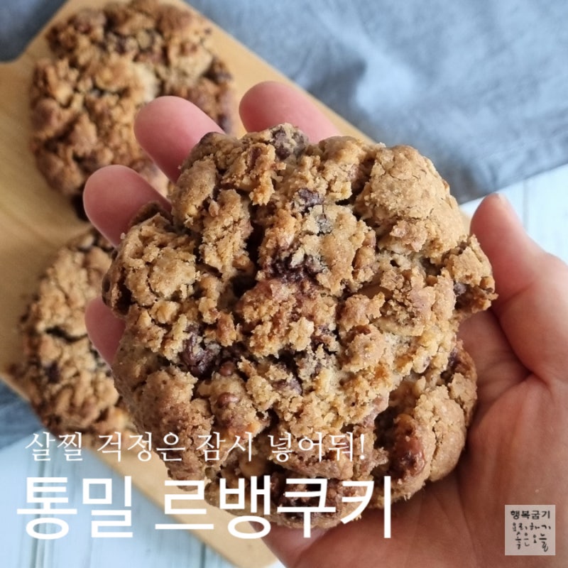 통밀 르뱅쿠키 레시피 르뱅쿠키 뜻부터 만들기 팁까지 한방정리