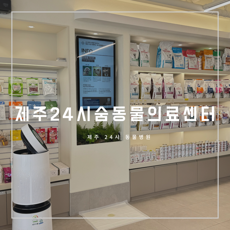 제주 24시 동물병원 강아지 건강검진 숨동물의료센터