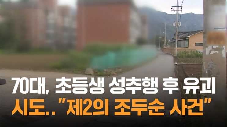 13] 제2의 조두순 사건 될 뻔…남양주 <b>초등생 유괴 미수</b>... 